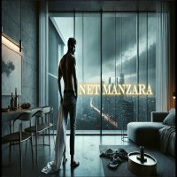 Net Manzara