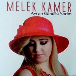 Ayran Gönüllü Yarim