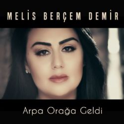 Arpa Orağa Geldi