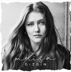 Dizgin