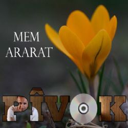 Pivok