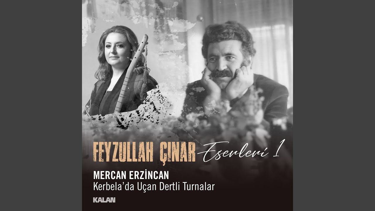 Kerbelada Uçan Dertli Turnalar Feyzullah Çınar Eserleri 1