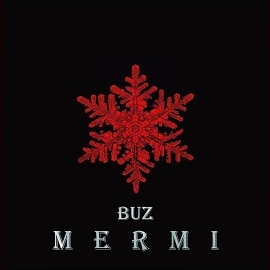 Buz