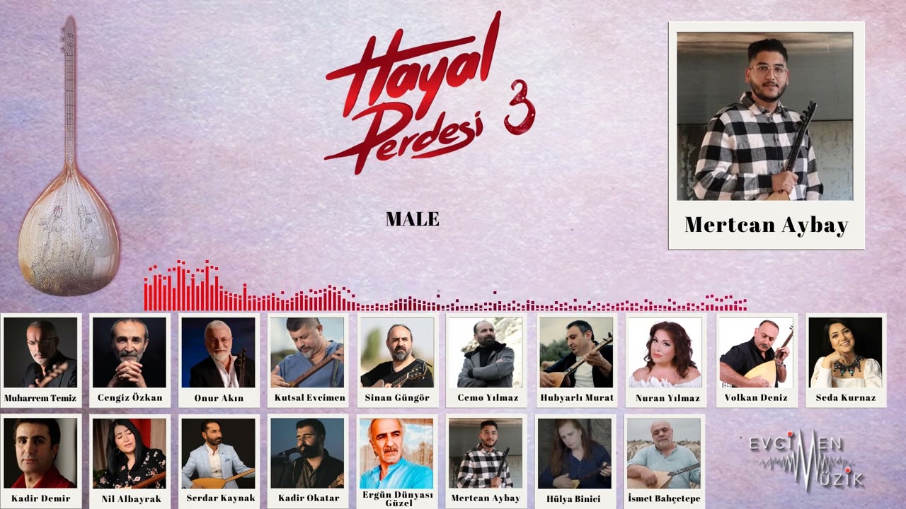 Hayal Perdesi 3