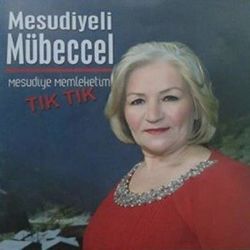 Mesudiye Memleketim