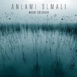 Anlamı Olmalı