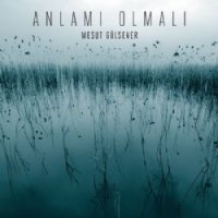 Anlamı Olmalı