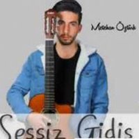 Sessiz Gidiş