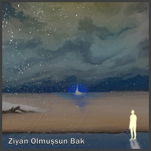 Ziyan Olmuşsun Bak