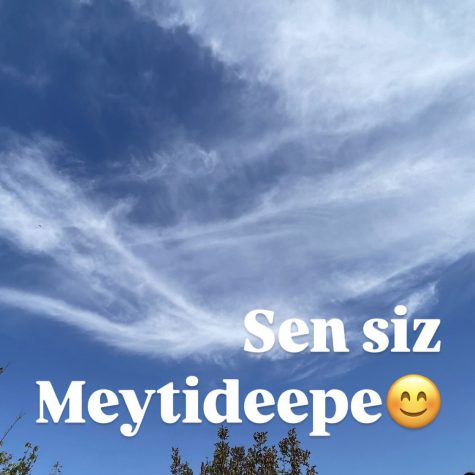 Sen Siz