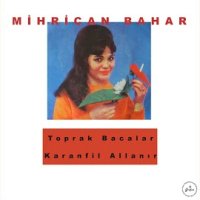 Toprak Bacalar, Karanfil Allanır