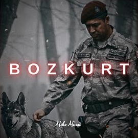 Bozkurt