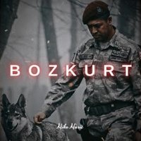 Bozkurt