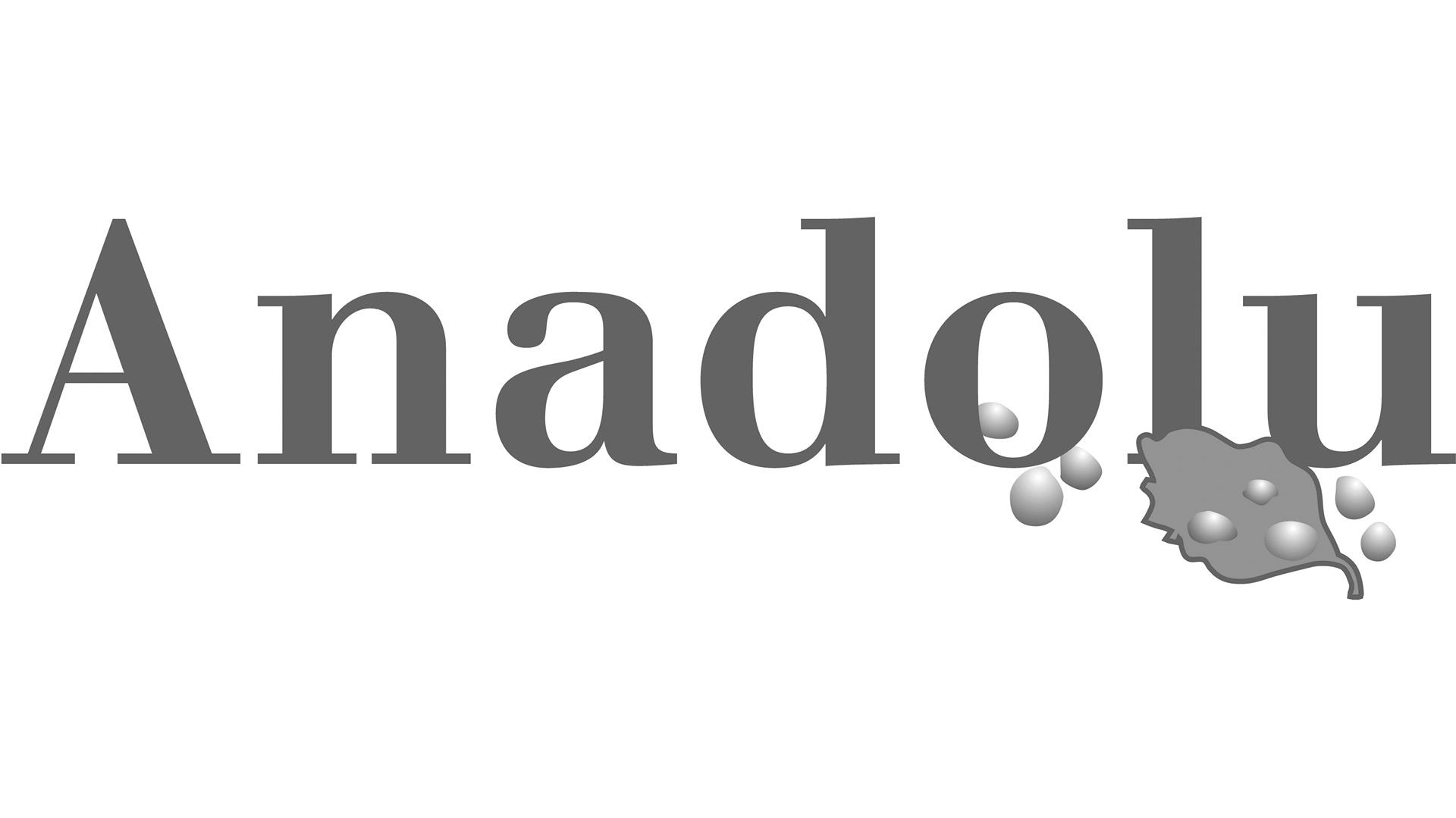 Anadolu Dan
