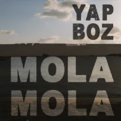 Yapboz