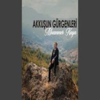 Akkuşun Gürgenleri