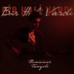 Bir Hali Vardı