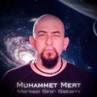 Merkezi Sinir Sistemi
