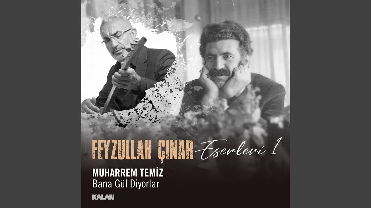 Bana Gül Diyorlar Feyzullah Çınar Eserleri 1