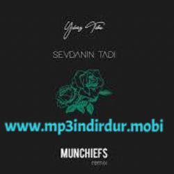 Sevdanın Tadı