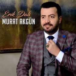 Erik Dalı