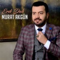 Erik Dalı
