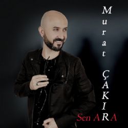 Sen Ara
