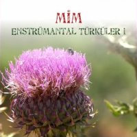 Mim Enstrümantal Türküler 1