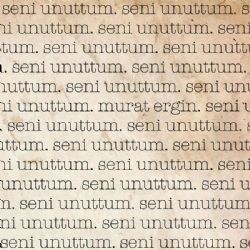 Seni Unuttum