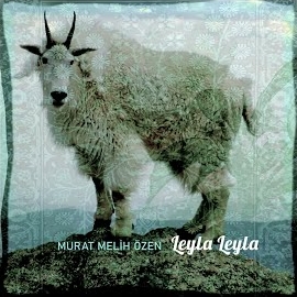 Leyla Leyla