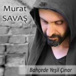 Bahçede Yeşil Çınar