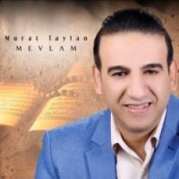 Mevlam