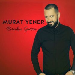 Bırakın Gitsin