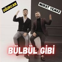Bülbül Gibi