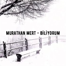 Biliyorum