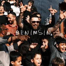 Benimsin