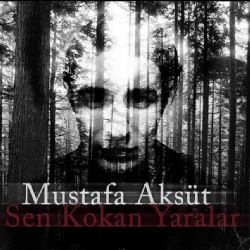 Sen Kokan Yaralar