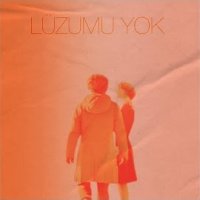 Lüzumu Yok