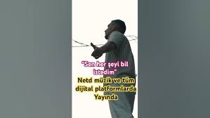 Sen Her Şeyi Bil İstedim