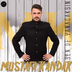 Sen De Yanacaksın