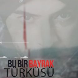 Bozkurt