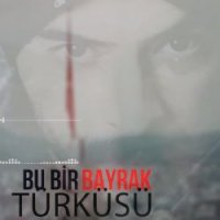 Bozkurt