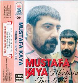 Fikrimin İnce Gülü