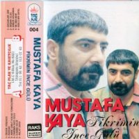 Fikrimin İnce Gülü
