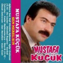 Sen Nerelisin