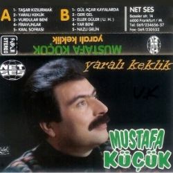 Yaralı Keklik
