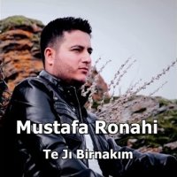 Te Jı Birnakım