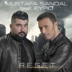 Reset