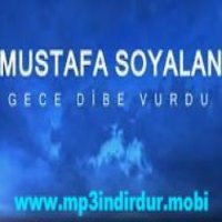 Gece Dibe Vurdu