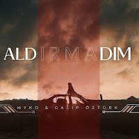 Aldırmadım